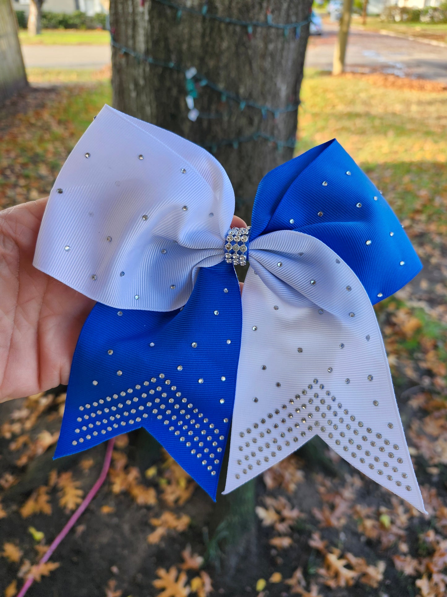 Blue cheer bow