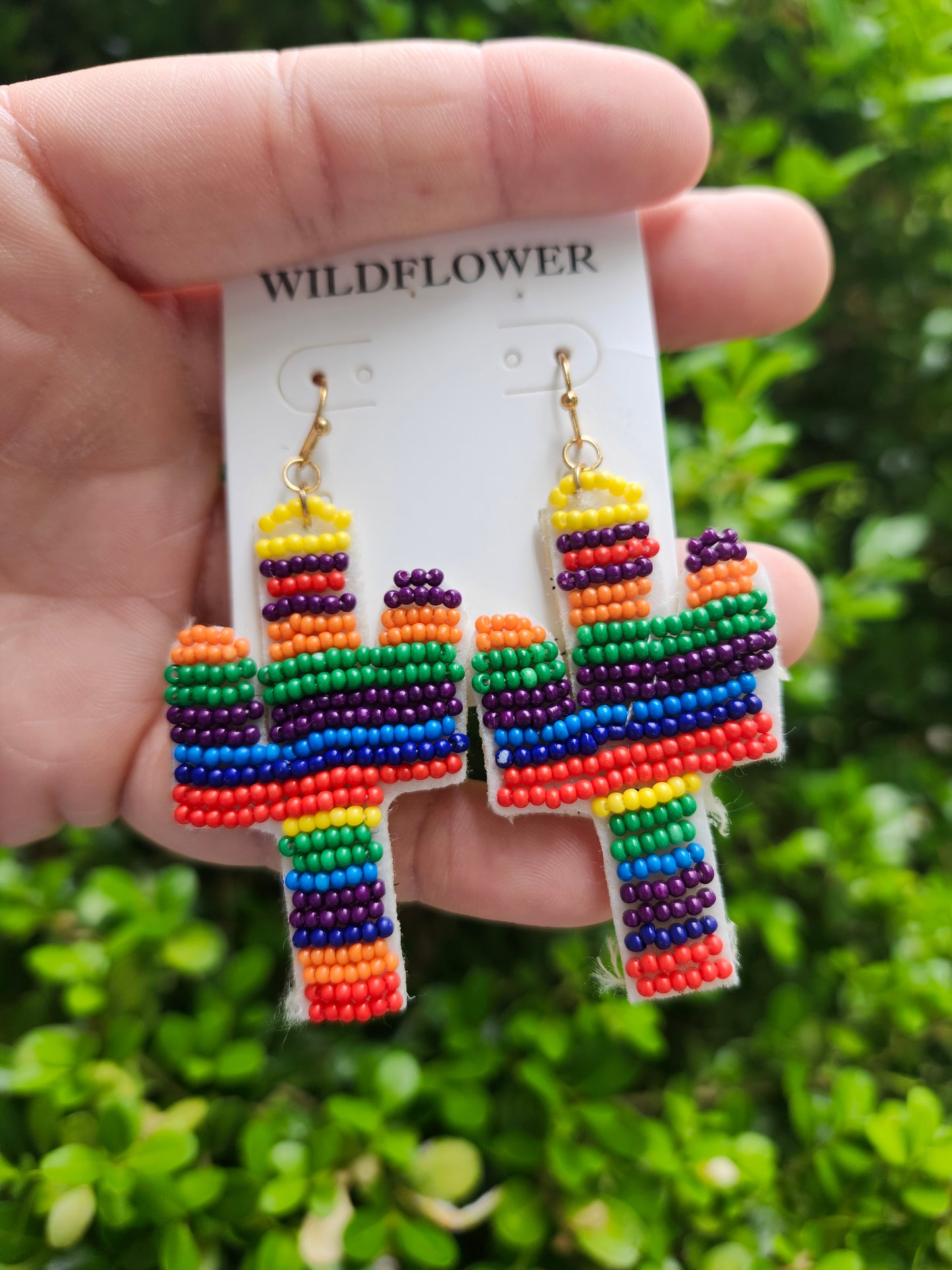 Rainbow cactus earrings
