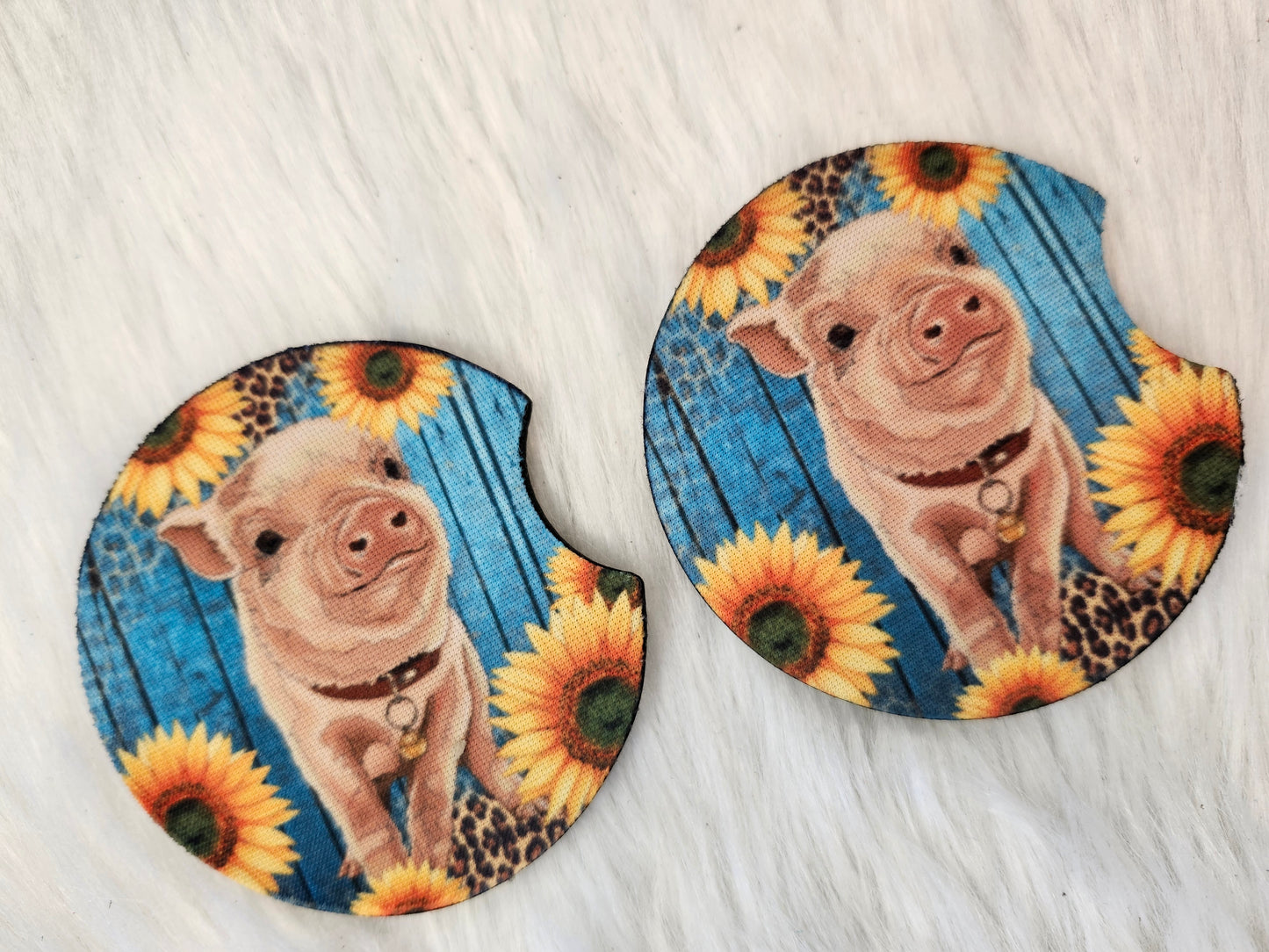 Pig car coaster