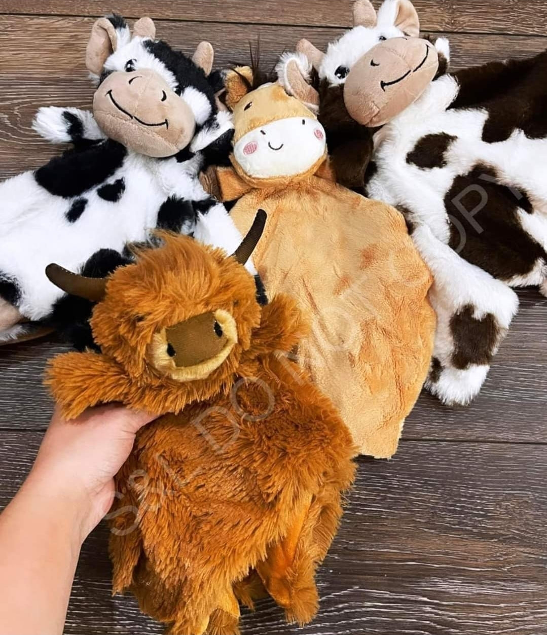 Higland cow lovey