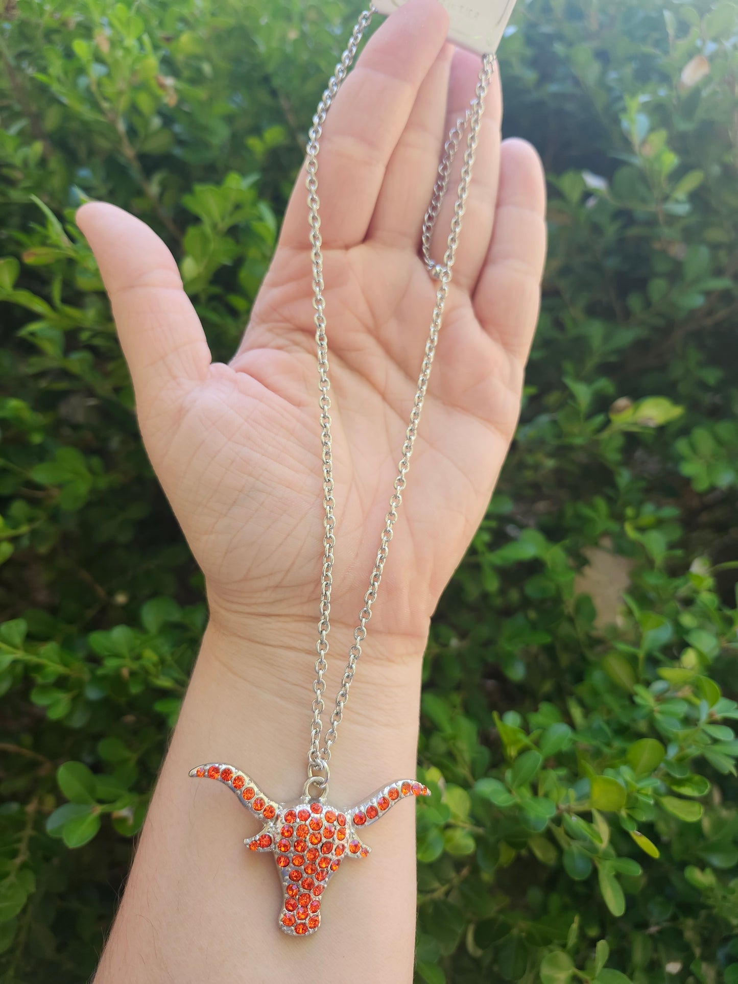 Longhorn necklace